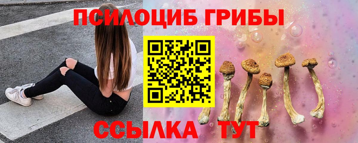 Галлюциногенные грибы мицелий  Вход с VPN  Галлюциногенные грибы прущие грибы  продажа наркотиков  Менделеевск 